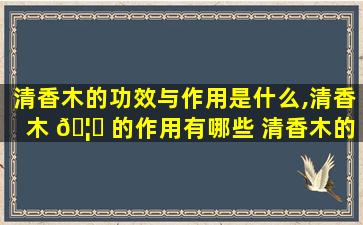 清香木的功效与作用是什么,清香木 🦉 的作用有哪些 清香木的用途